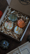 Pumpkin Patch • Wax Melt Collection