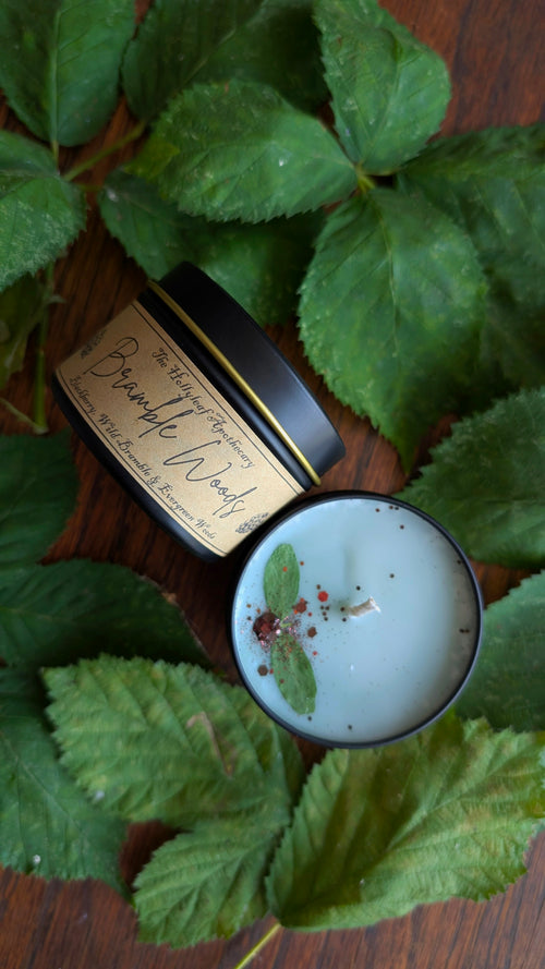 Bramble Woods Candle • Blackberry, Wild Bramble & Evergreen Woods Fragrance • 4OZ